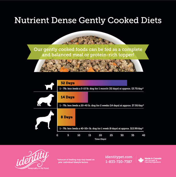 believe Bland Diets Chicken & Rice Gently Cooked Dog Food Recipe